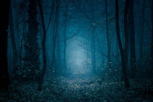 SCP 4000 - Taboo