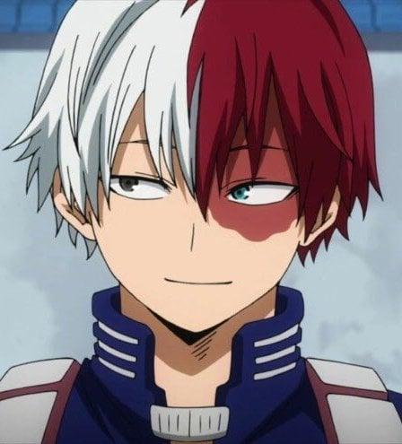 Shoto Todoroki