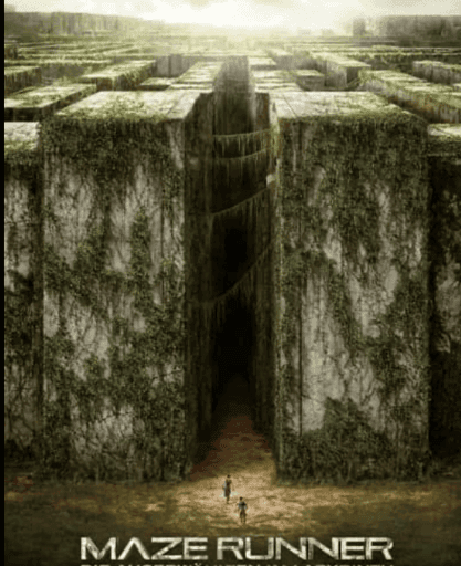 Maze runner