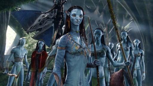 The Na’Vi people