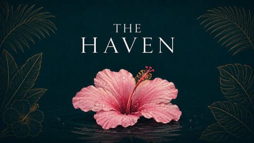 The Haven | Island Mystery Thriller