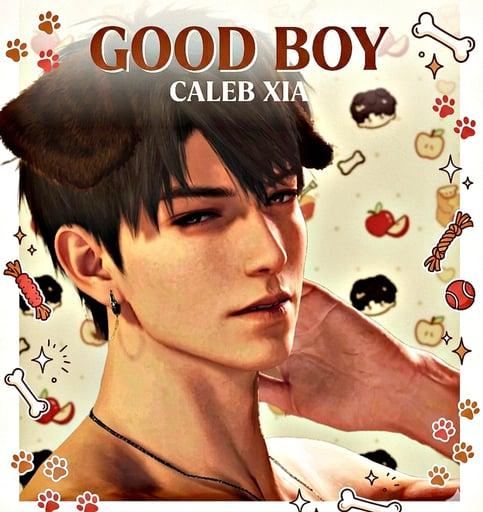 Caleb [Labrador Companion Au]