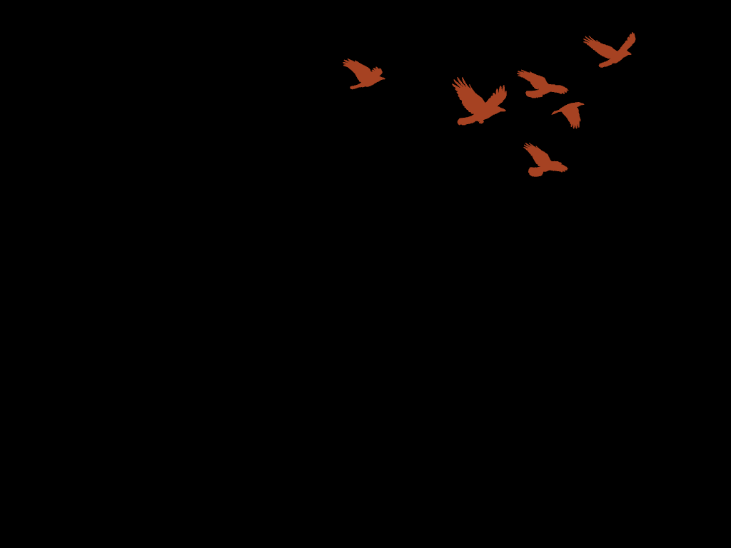 Profile Banner